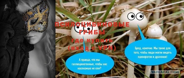 ALPHA PVP Тобольск