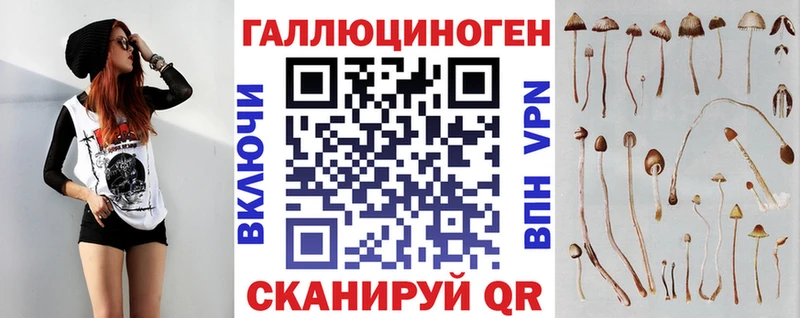 где продают наркотики  Галич  Псилоцибиновые грибы ЛСД 